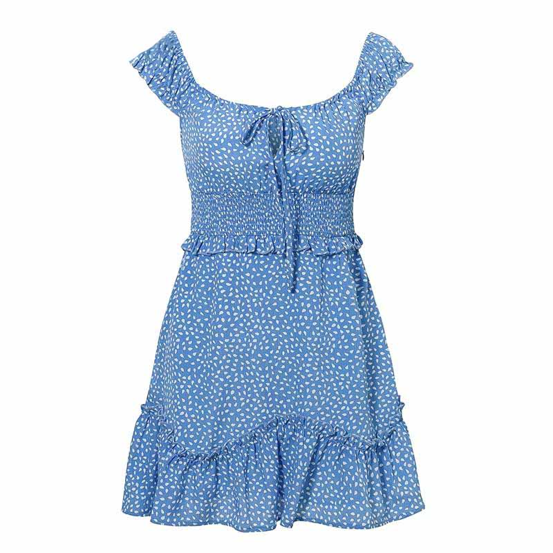 Summer Picnic Sage Blue Rose Mini Dress