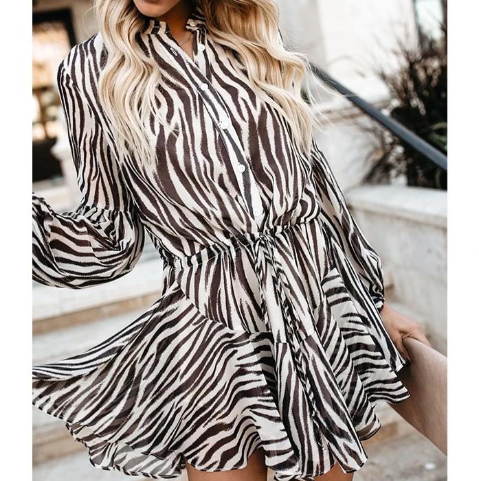 Trapeze Shirt Dress - Zebra Print